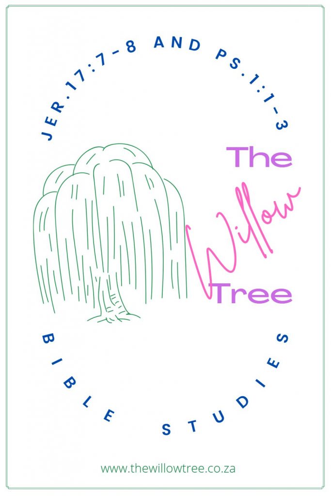 The Willow Tree Logo Large Image